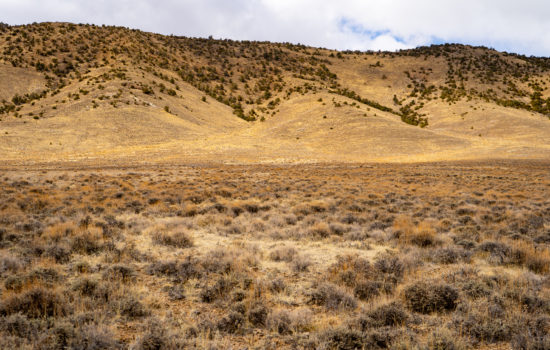 Get Off-Grid and Enjoy the Wilderness on this 10 Acre Land in Elko, NV