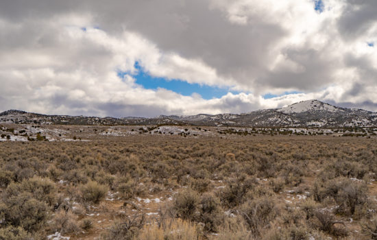 The Great Escape – 40 Acres of Land in Elko, NV to Unwind and Enjoy Nature