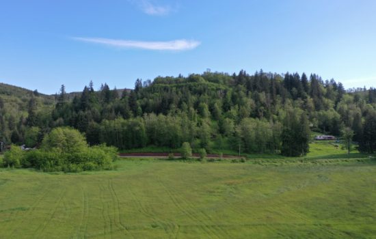 Beautiful 1 Acre Land For Sale in Cinebar, Washington